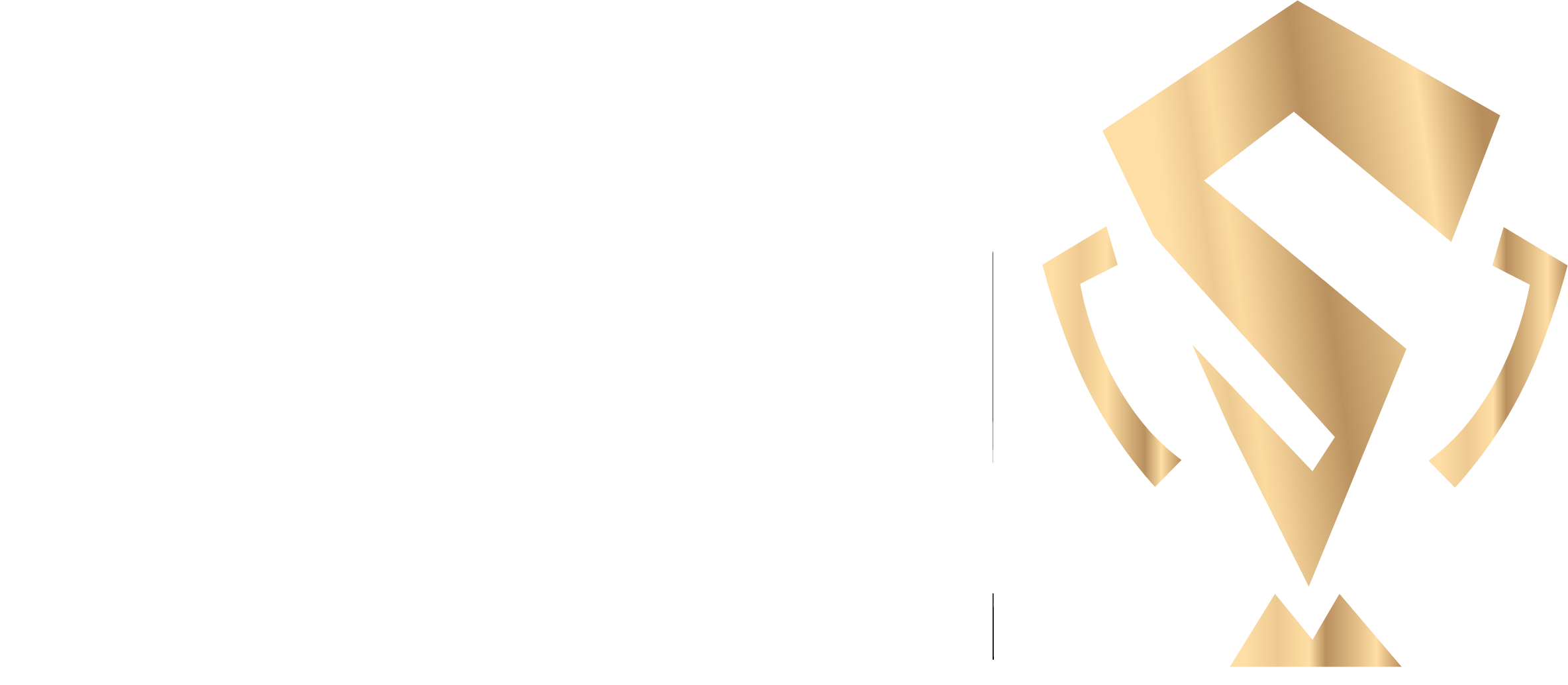 S נכסים | לוגו שקוף